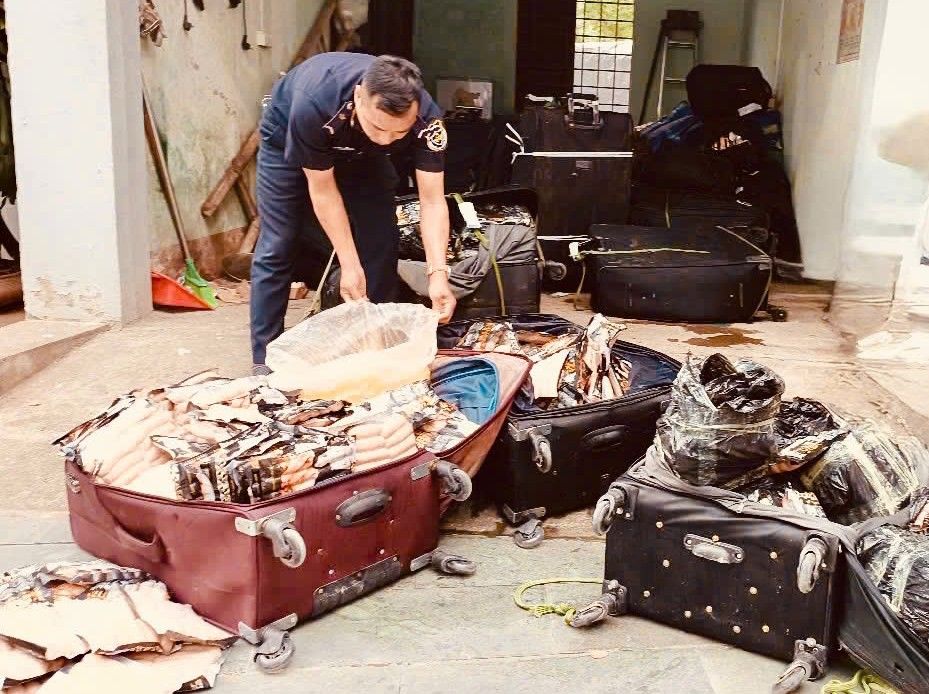 Hải quan phát hiện hơn 1,8 tấn thực phẩm đông lạnh nhập lậu qua biên giới phía Bắc- Ảnh 1.