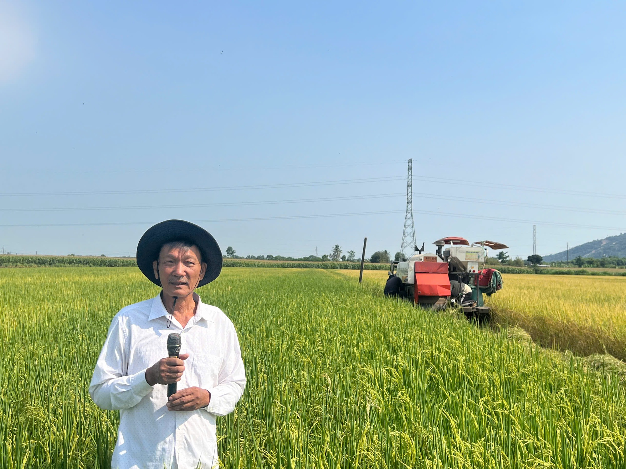 Nhân rộng mô hình sạ khô cơ giới hóa: Giải pháp mới cho sản xuất lúa bền vững, giảm phát thải- Ảnh 2.