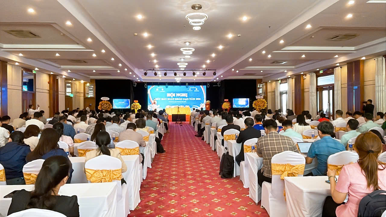 Xuất khẩu gạo 2026: Liên kết chuỗi, nâng chất lượng để tăng giá trị- Ảnh 1.