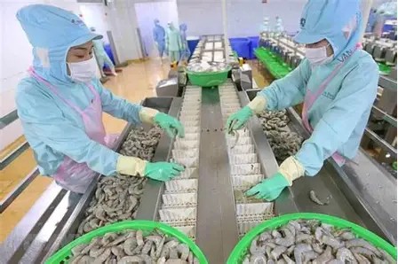 Xuất khẩu thủy sản: Mở rộng thị trường, thích ứng biến động địa chính trị- Ảnh 1. Xuất khẩu thủy sản: Mở rộng thị trường, thích ứng biến động địa chính trị- Ảnh 1.