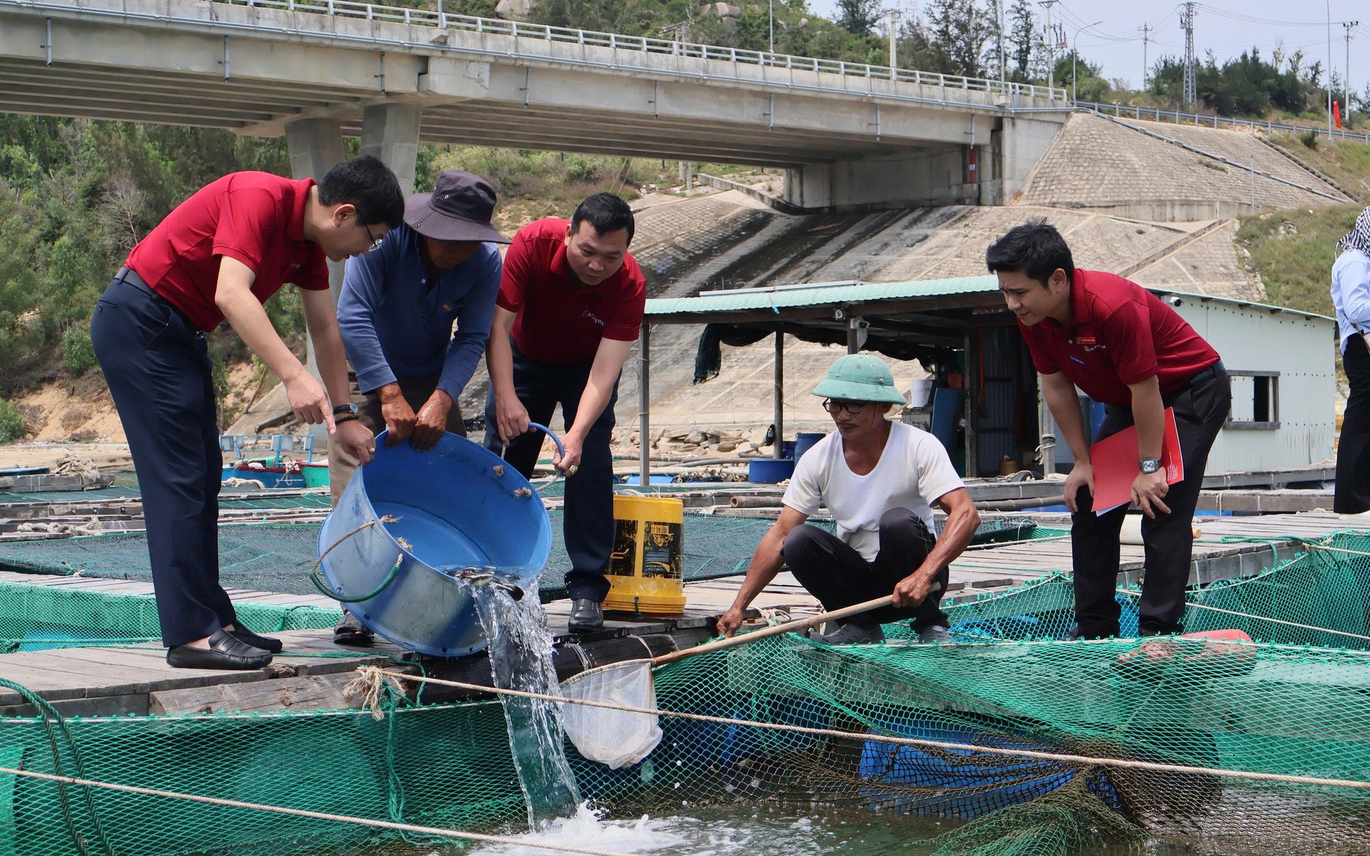 Agribank – Hành trình bền bỉ phục vụ phát triển 'tam nông'