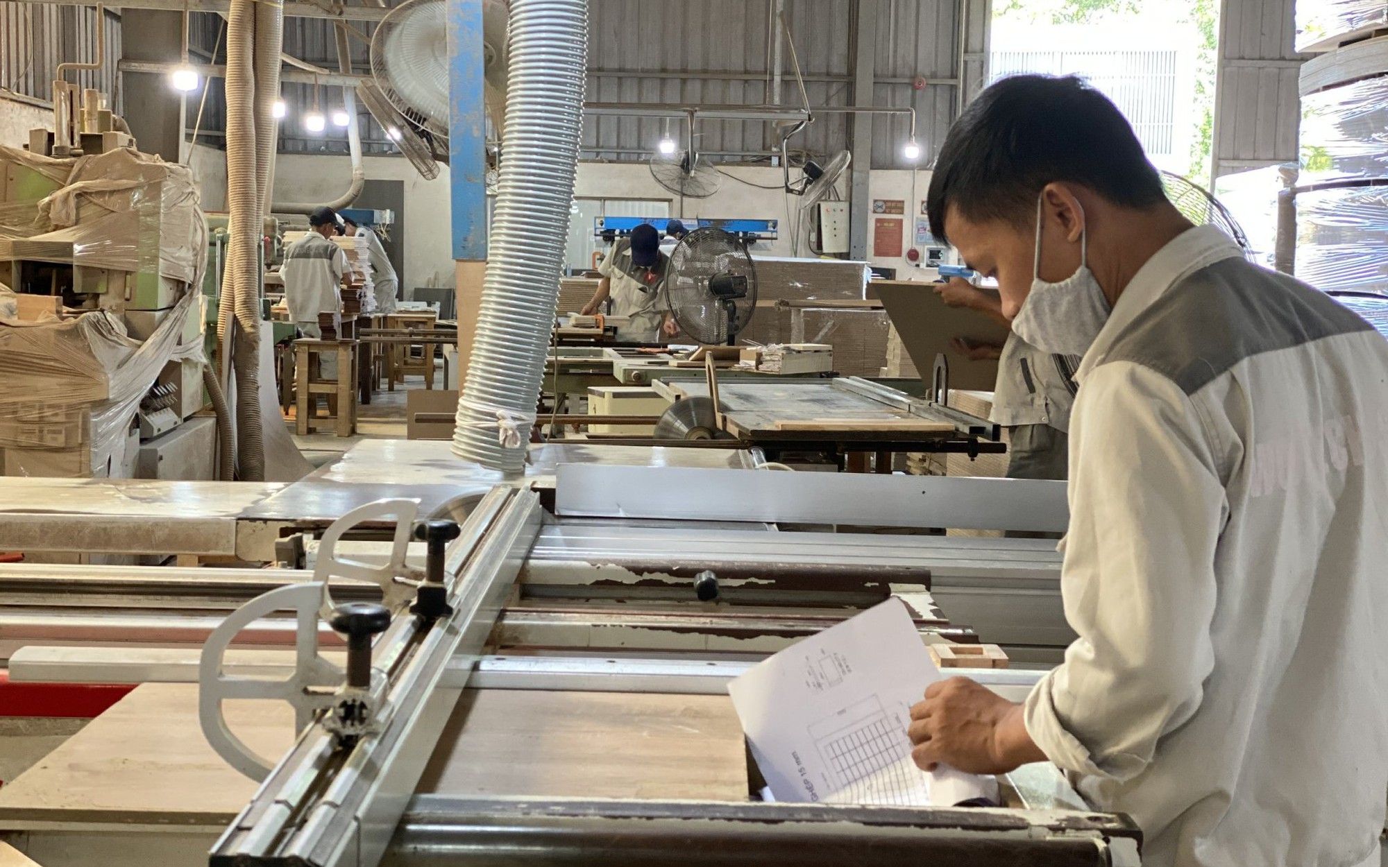 Vật liệu gỗ xây dựng: Góc nhìn từ thị trường nguyên liệu đến chiến lược lâm nghiệp