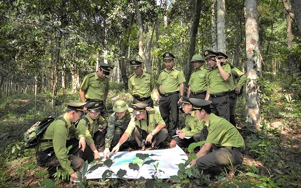 Không lập tổ chức Kiểm lâm độc lập ở cấp xã