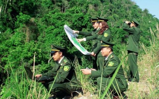 Có bắt buộc chuyển ngạch Kiểm lâm viên sang Chuyên viên?