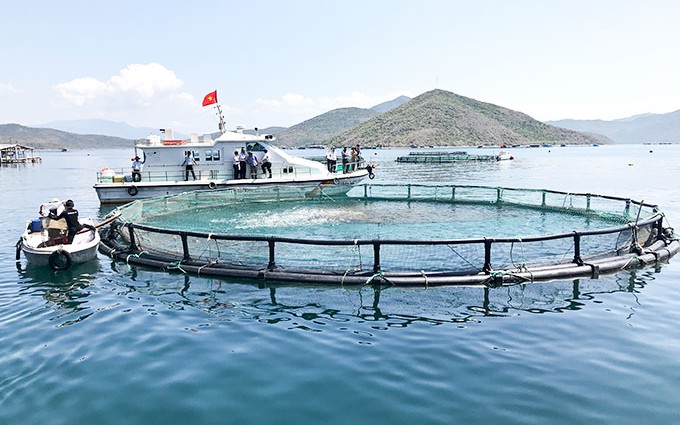 Quy định mức thu tiền sử dụng khu vực biển