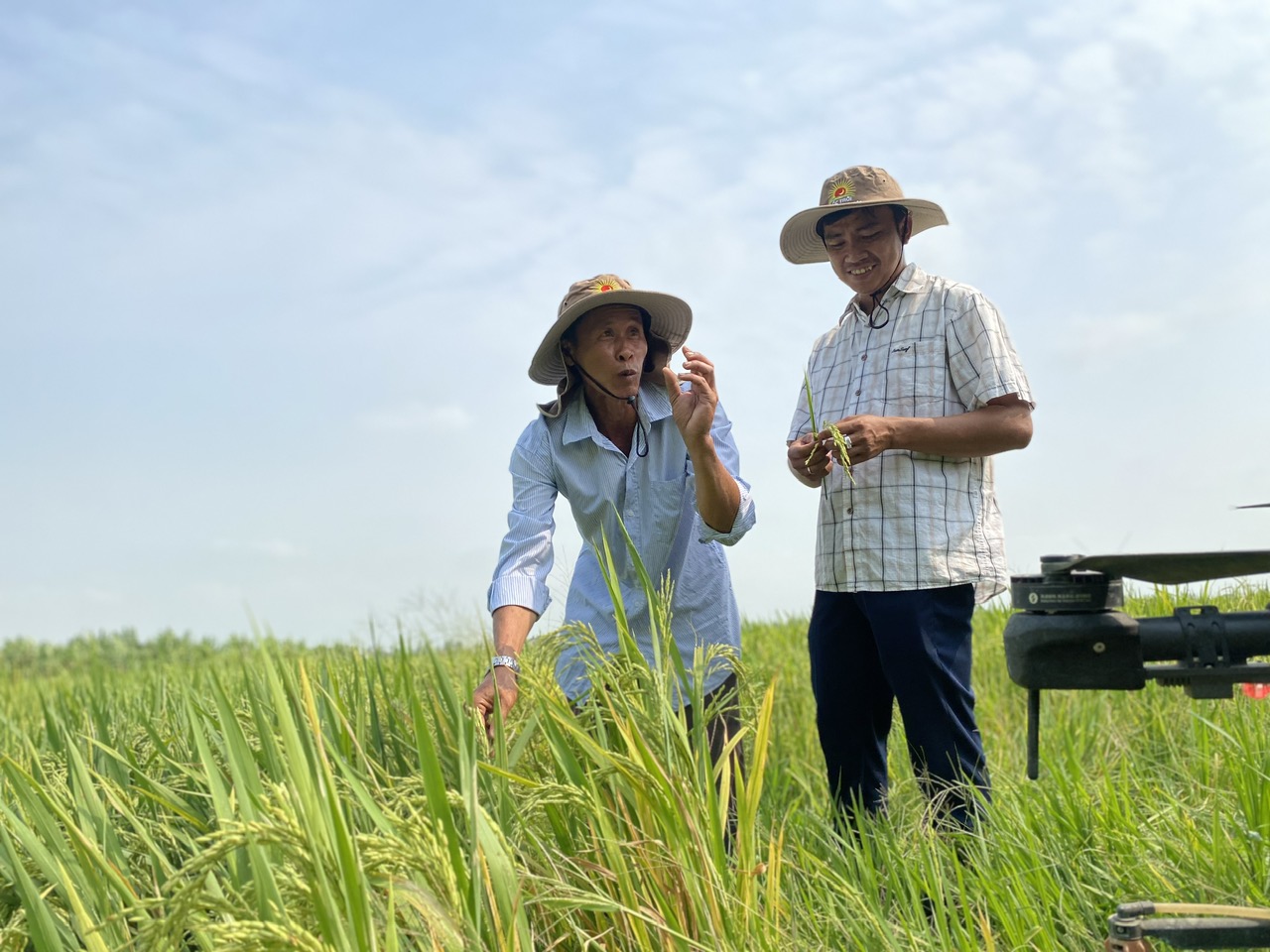 Bộ Nông nghiệp và Môi trường xây dựng kịch bản sản xuất trước tình hình xung đột Trung Đông- Ảnh 1. Bộ Nông nghiệp và Môi trường xây dựng kịch bản sản xuất trước tình hình xung đột Trung Đông- Ảnh 1.