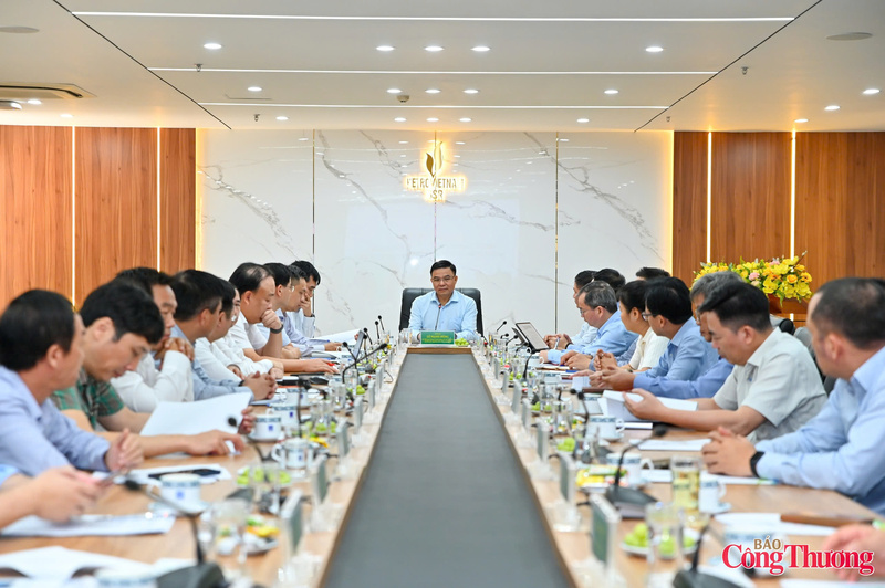 Quyền Bộ trưởng Bộ Công Thương Lê Mạnh Hùng làm việc với Lọc hóa dầu Bình Sơn- Ảnh 1.