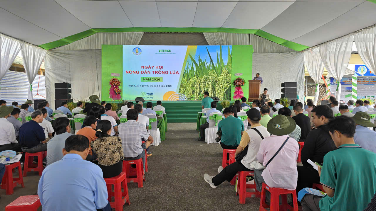 Ngày hội nông dân trồng lúa 2026: Thúc đẩy sản xuất lúa chất lượng cao, giảm phát thải ở ĐBSCL- Ảnh 1.