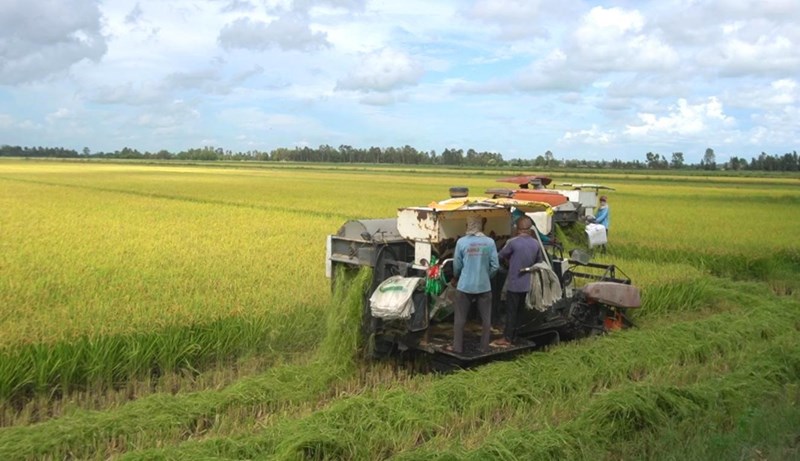 Xuất khẩu nông, lâm, thủy sản quý I đạt gần 16,7 tỷ USD- Ảnh 1. Xuất khẩu nông, lâm, thủy sản quý I đạt gần 16,7 tỷ USD- Ảnh 1.