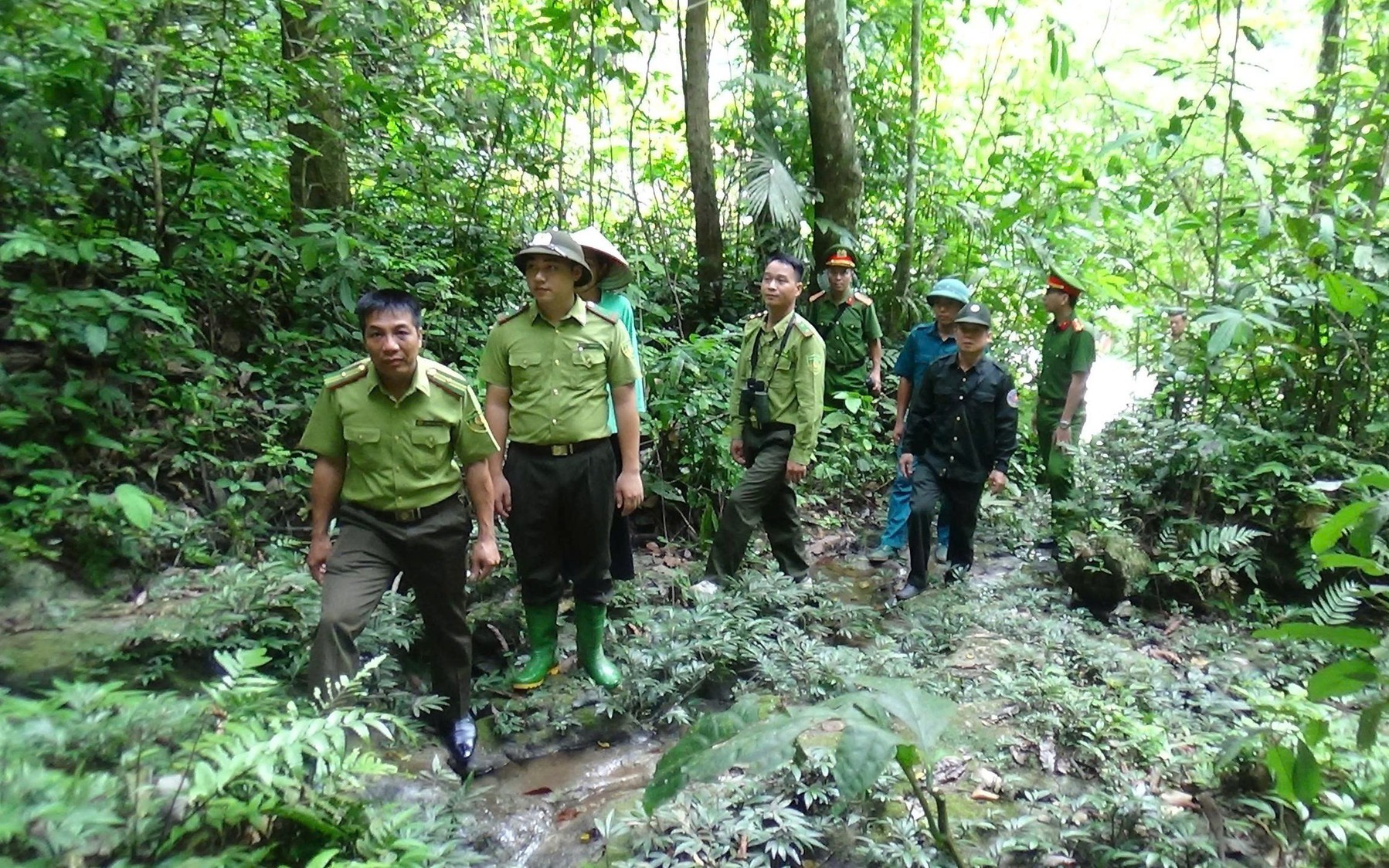Kiểm lâm chuyển sang Lực lượng bảo vệ rừng, tính phụ cấp thâm niên thế nào?