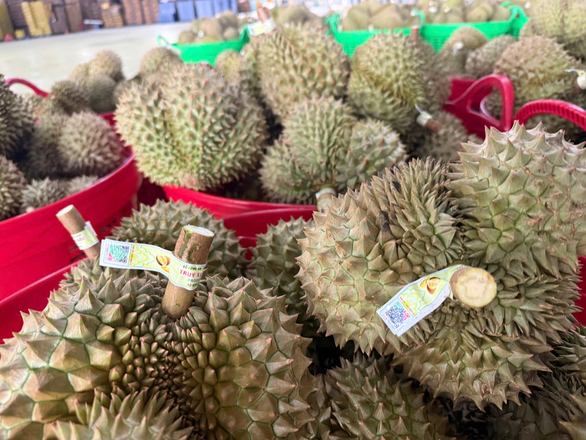 Xuất khẩu lô sầu riêng đầu tiên nhờ thông quan Luồng xanh- Ảnh 1.