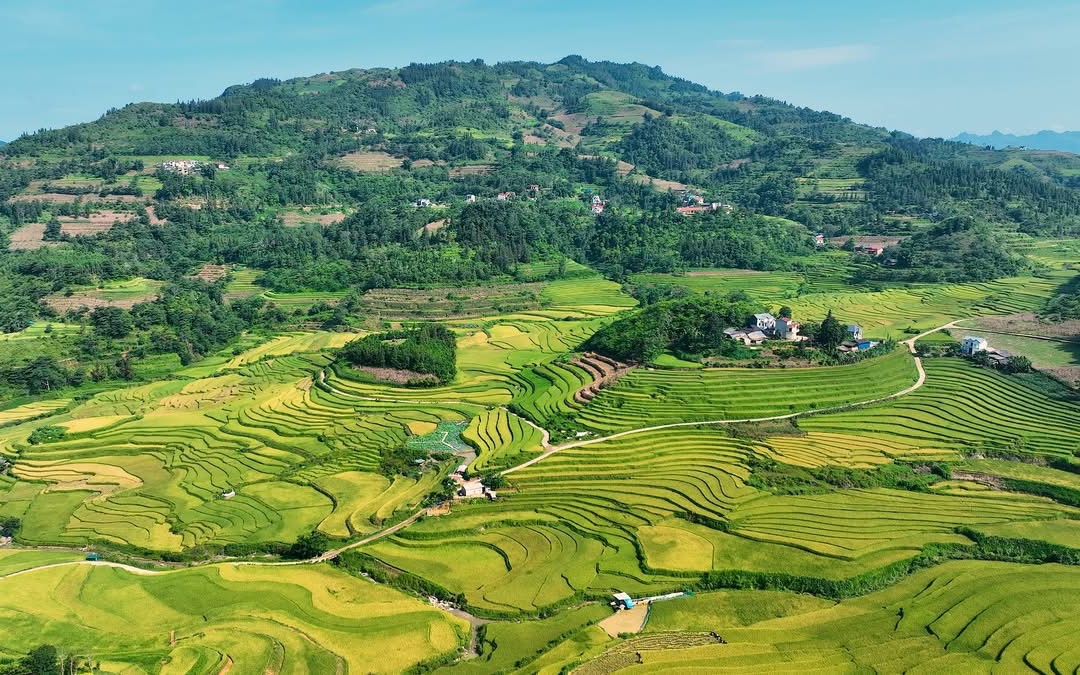 Xác định 15 tỉnh vùng dân tộc thiểu số, 12 tỉnh miền núi