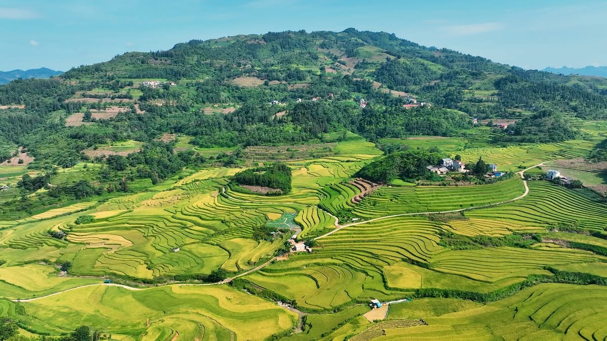 Xác định 15 tỉnh vùng dân tộc thiểu số, 12 tỉnh miền núi- Ảnh 1. Xác định 15 tỉnh vùng dân tộc thiểu số, 12 tỉnh miền núi- Ảnh 1.