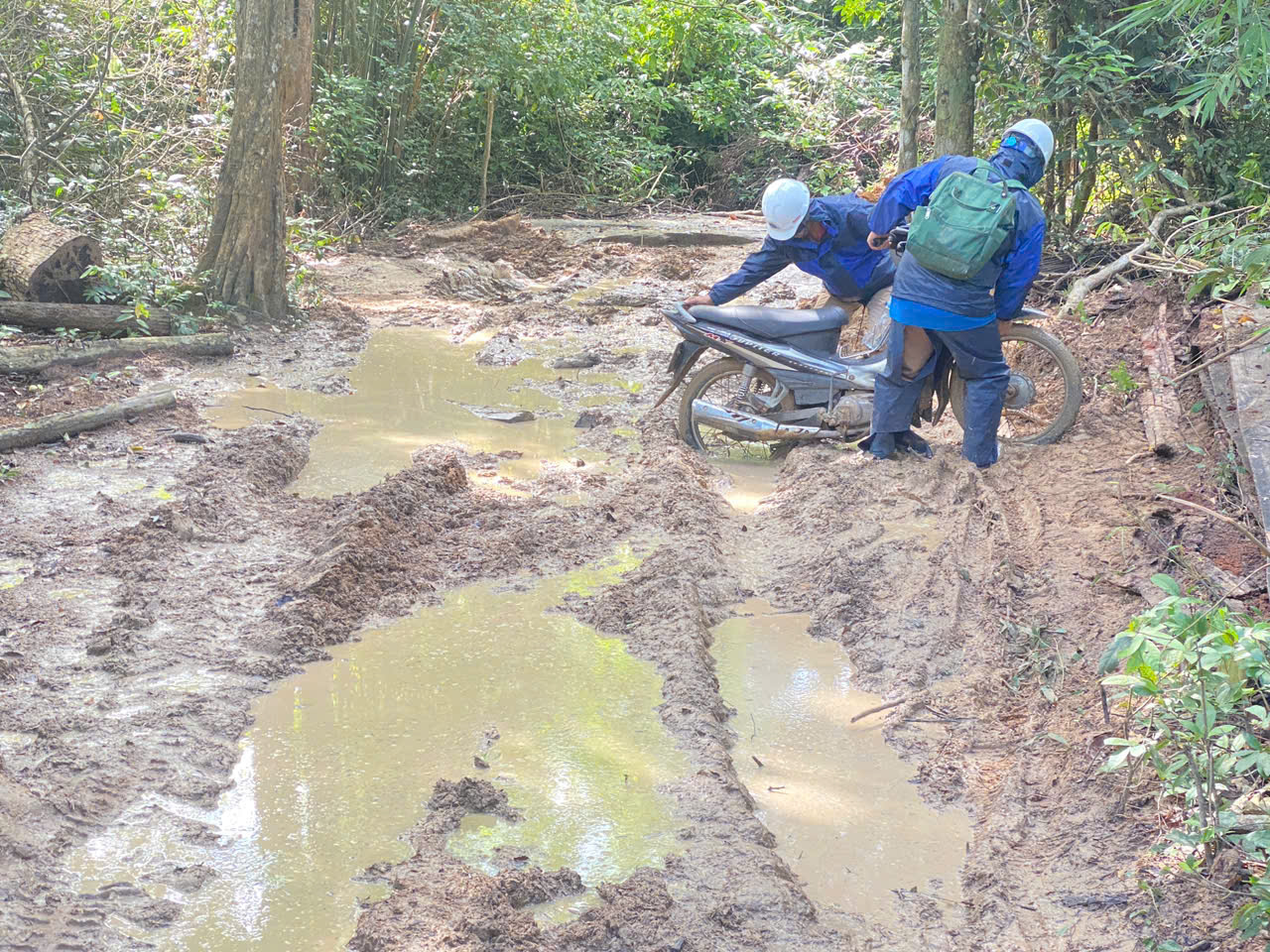 Savan 1 và 'bài toán' điện gió xuyên biên giới: Từ quyết định đầu tư đến dòng điện vận hành- Ảnh 3.