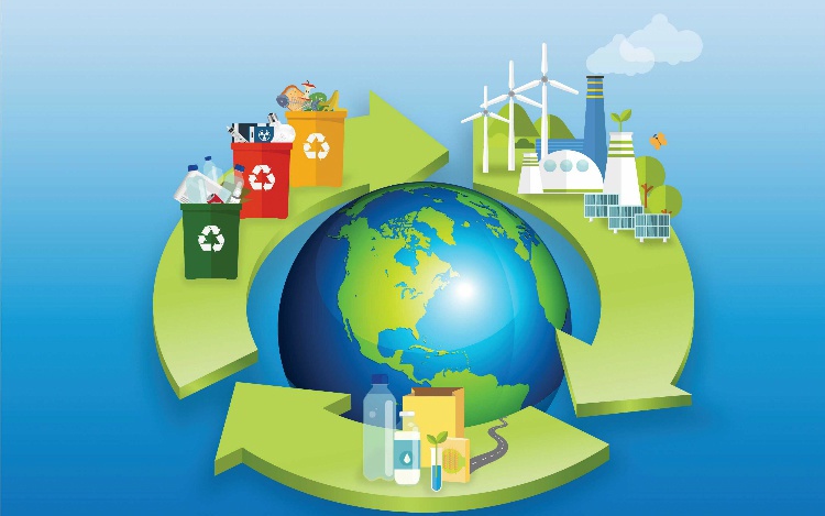 Vướng kê khai EPR vì lỗi hệ thống, doanh nghiệp cần làm gì?