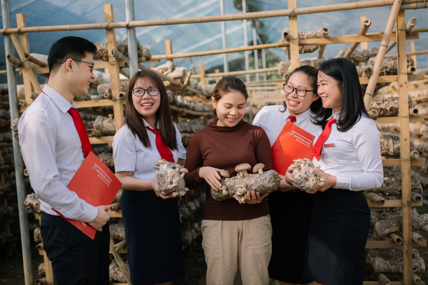 Agribank hỗ trợ hộ kinh doanh chuyển sang kê khai thuế- Ảnh 3.