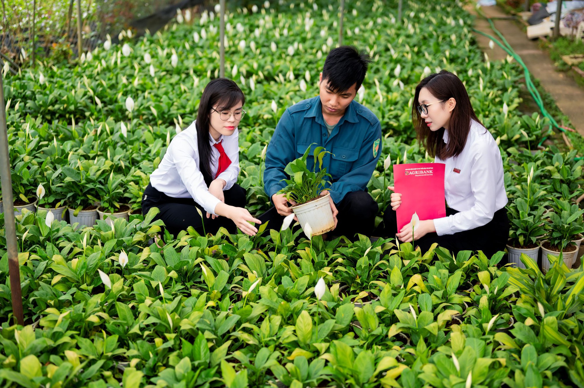 Agribank dẫn vốn 'Tam nông', hỗ trợ nền kinh tế- Ảnh 1.