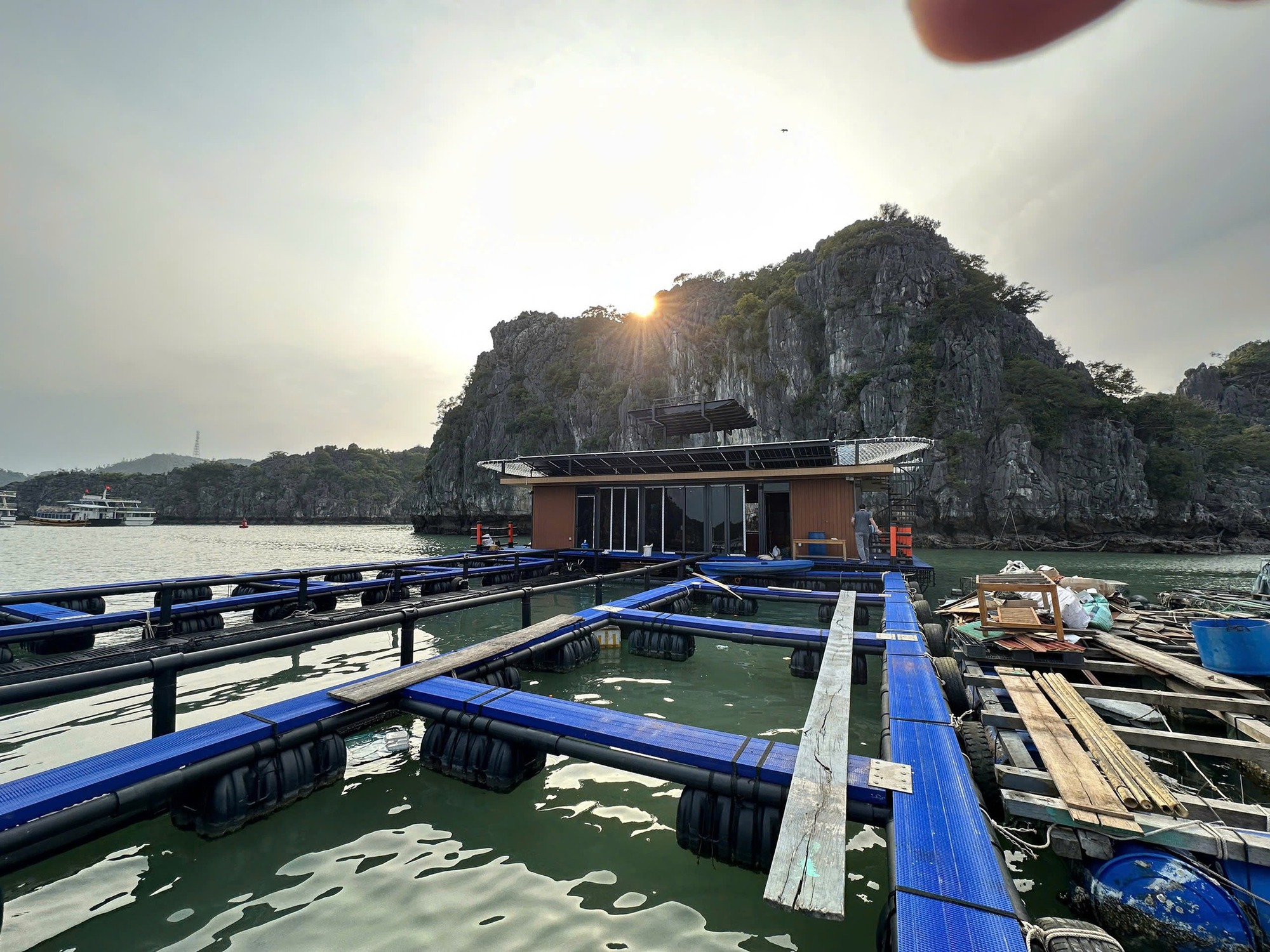 Nuôi trồng thủy sản tạo chuỗi liên kết xanh- Ảnh 1.