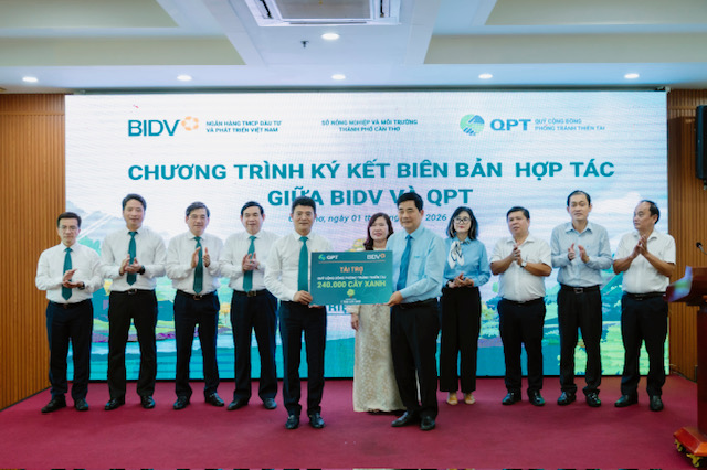BIDV tiếp tục hành trình '1 triệu cây xanh' với dự án tại Cần Thơ- Ảnh 1.