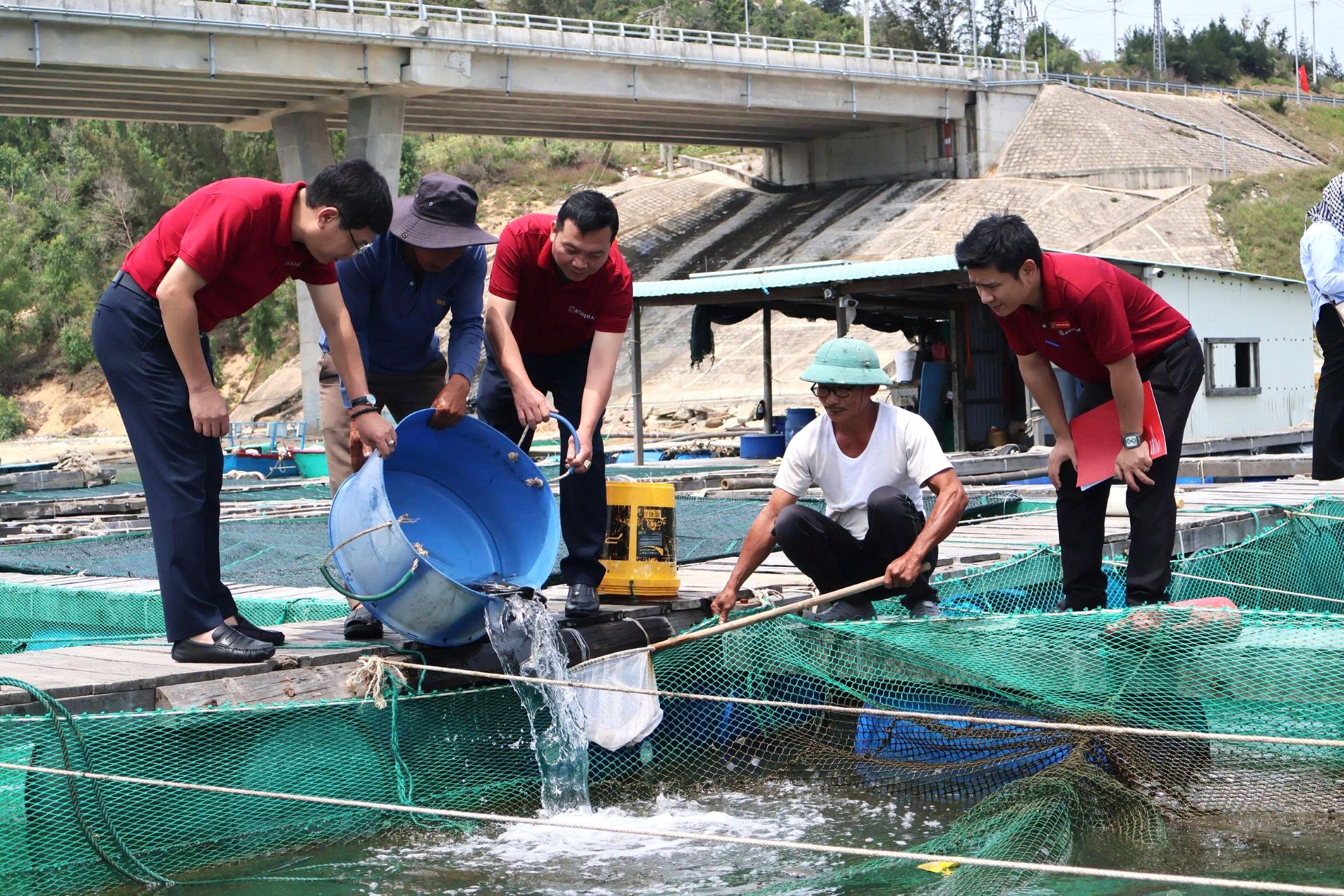 Agribank dẫn dắt dòng vốn “tam nông”, đóng góp cho mục tiêu tăng trưởng hai con số- Ảnh 4.