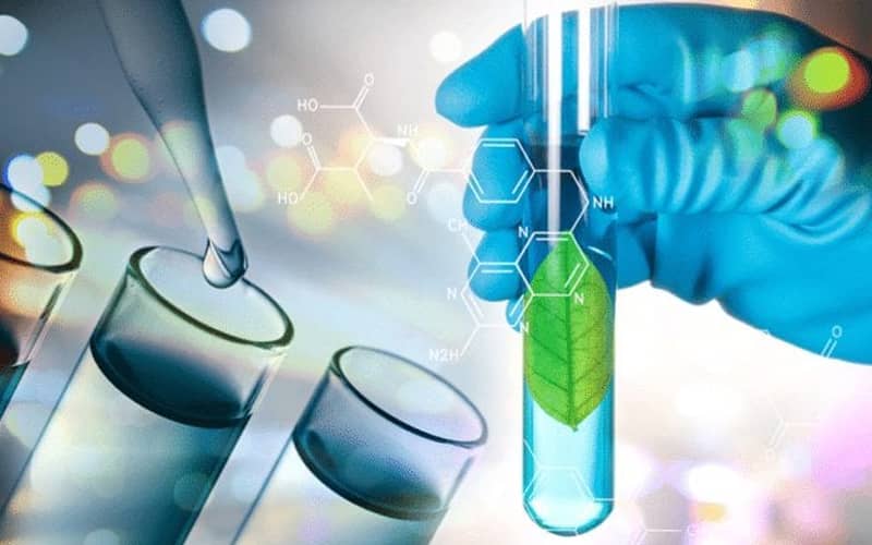 Chỉ thị của Thủ tướng Chính phủ về việc tập trung phát triển, ứng dụng hiệu quả công nghệ sinh học thành ngành kinh tế - kỹ thuật quan trọng phục vụ sự nghiệp xây dựng và bảo vệ Tổ quốc