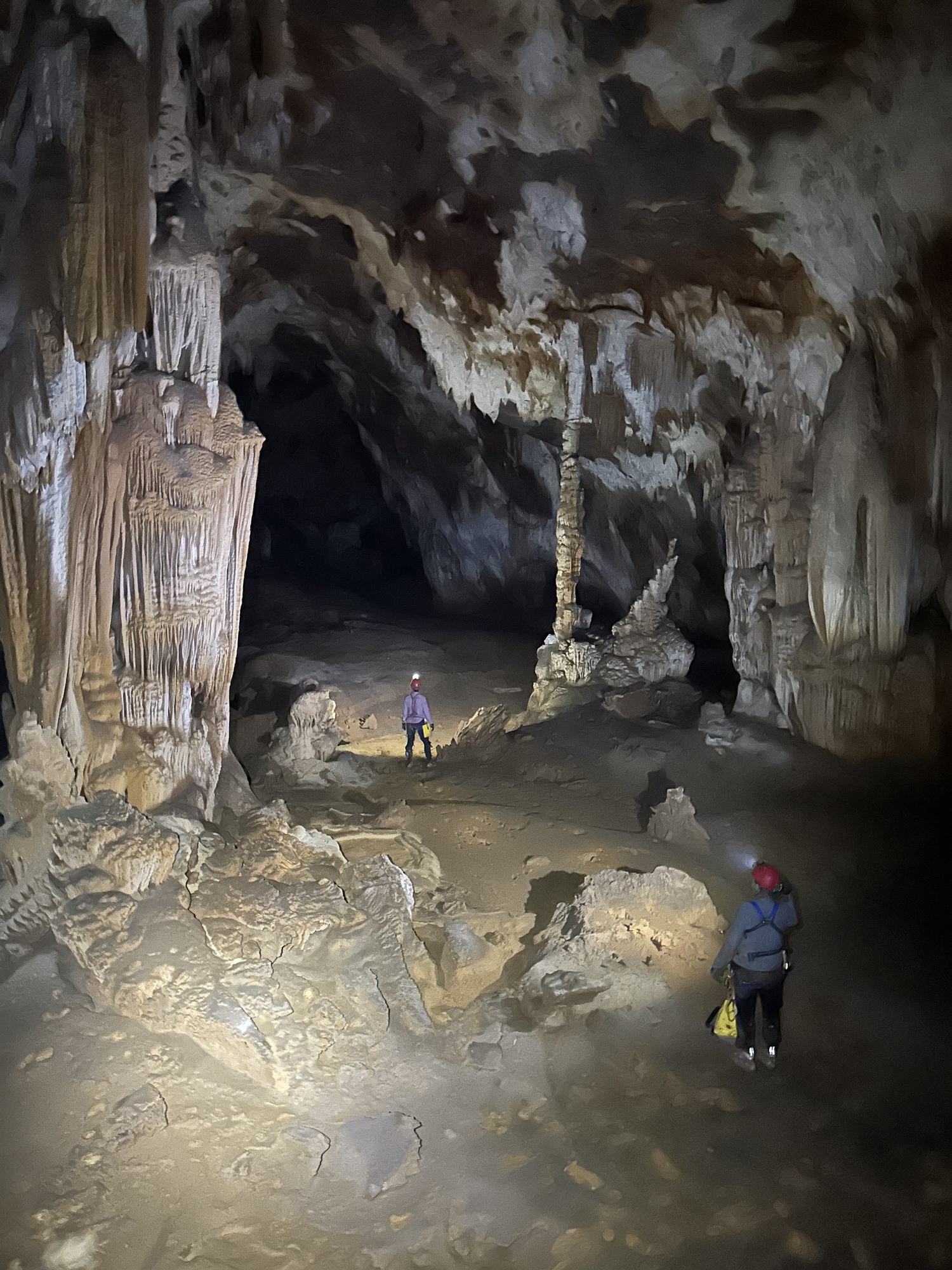 Phát hiện thêm 26 hang động mới tại Vườn Quốc gia Phong Nha - Kẻ Bàng- Ảnh 17.