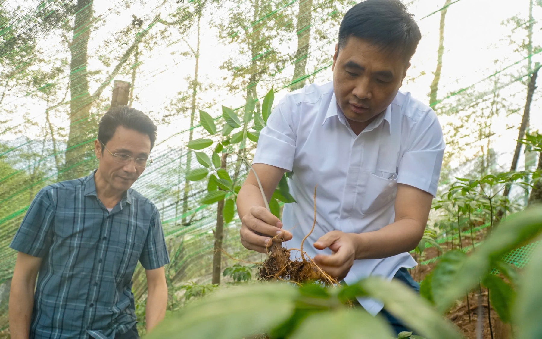 Nông nghiệp xanh, chuyển đổi số: Động lực mới cho tăng trưởng vùng biên