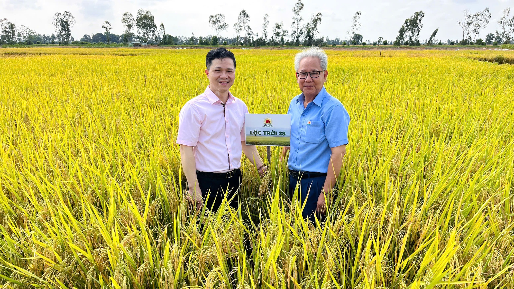 Tôn vinh gạo ngon Đồng bằng sông Cửu Long, thúc đẩy phát triển bền vững ngành lúa gạo- Ảnh 3.