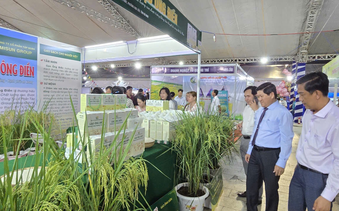 Cà Mau thúc đẩy liên kết, nâng tầm chuỗi giá trị lúa gạo