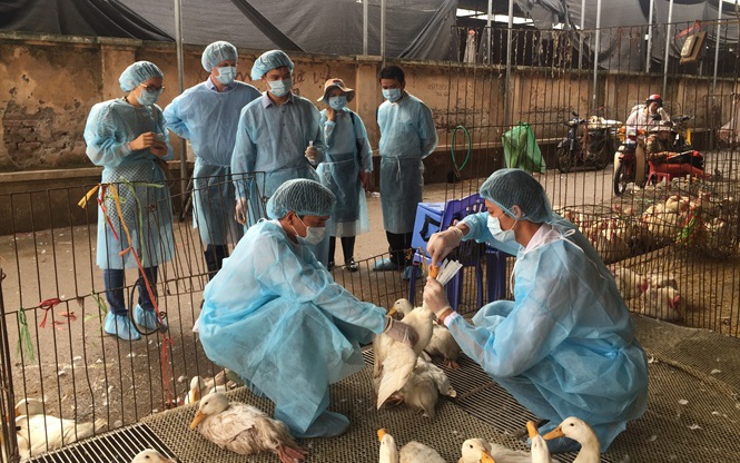 Làm công tác thú y tại xã có được phụ cấp ưu đãi nghề?