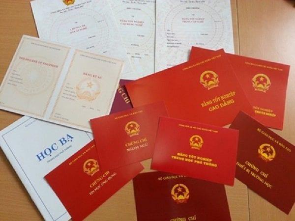 Dự kiến thủ tục công nhận văn bằng nước ngoài được xử lí hoàn toàn trực tuyến- Ảnh 1.