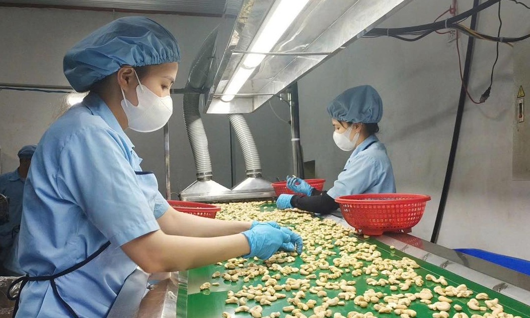 Nông sản xuất khẩu: Chủ động trước 'cú sốc' Trung Đông- Ảnh 1.