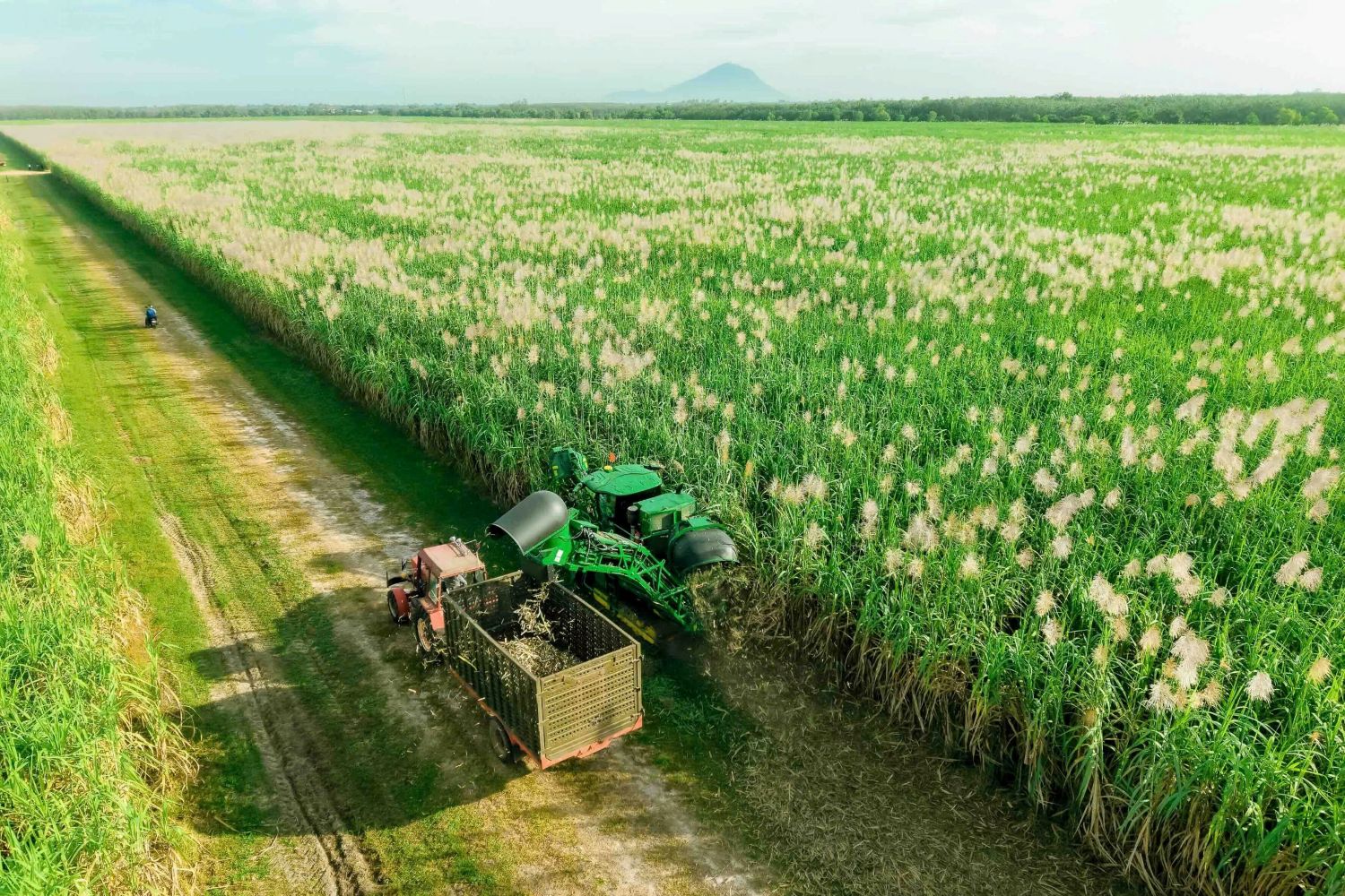 Nghị quyết 79: Làn gió mới cho “hệ sinh thái công – tư đồng hành”- Ảnh 2.