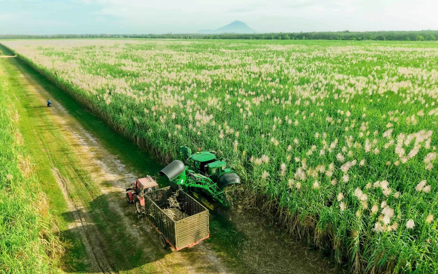 Nghị quyết 79: Làn gió mới cho “hệ sinh thái công – tư đồng hành”