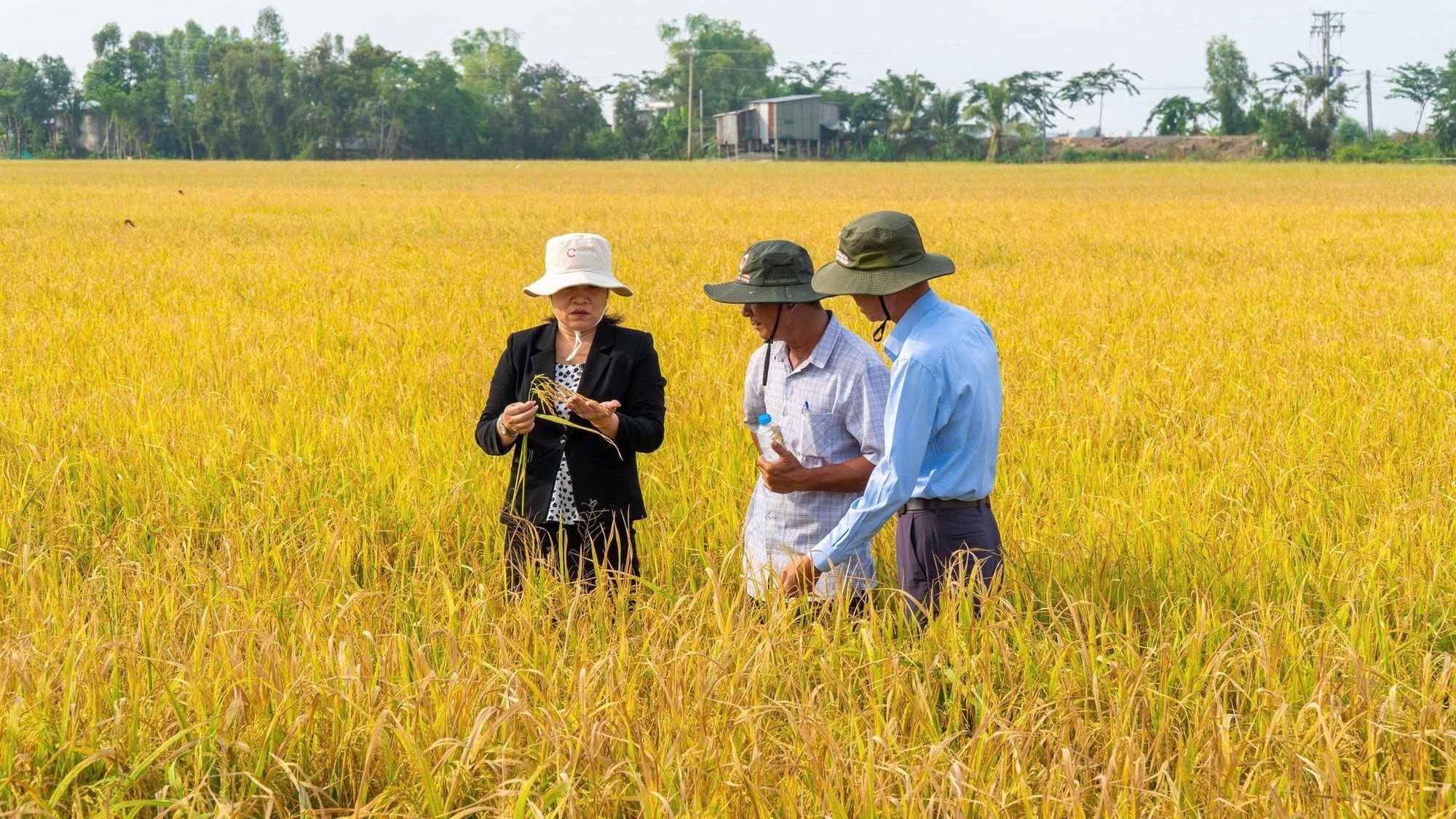 'Bón đúng, bón ít' – Triết lý làm nông nghiệp tử tế của một doanh nghiệp phân bón- Ảnh 2.
