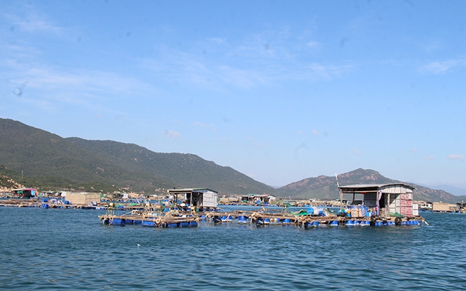 15 lĩnh vực nông nghiệp, môi trường được cắt giảm, phân cấp, đơn giản hóa TTHC, điều kiện kinh doanh