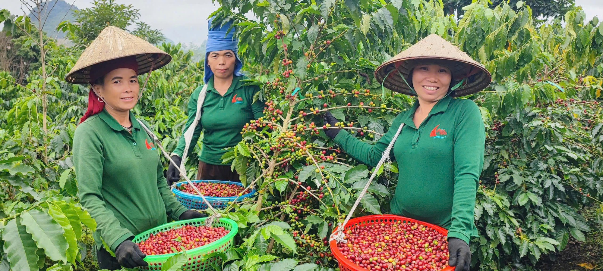 Nghị quyết 79 qua góc nhìn của doanh nghiệp tư nhân: Đồng hành để vươn xa- Ảnh 4.