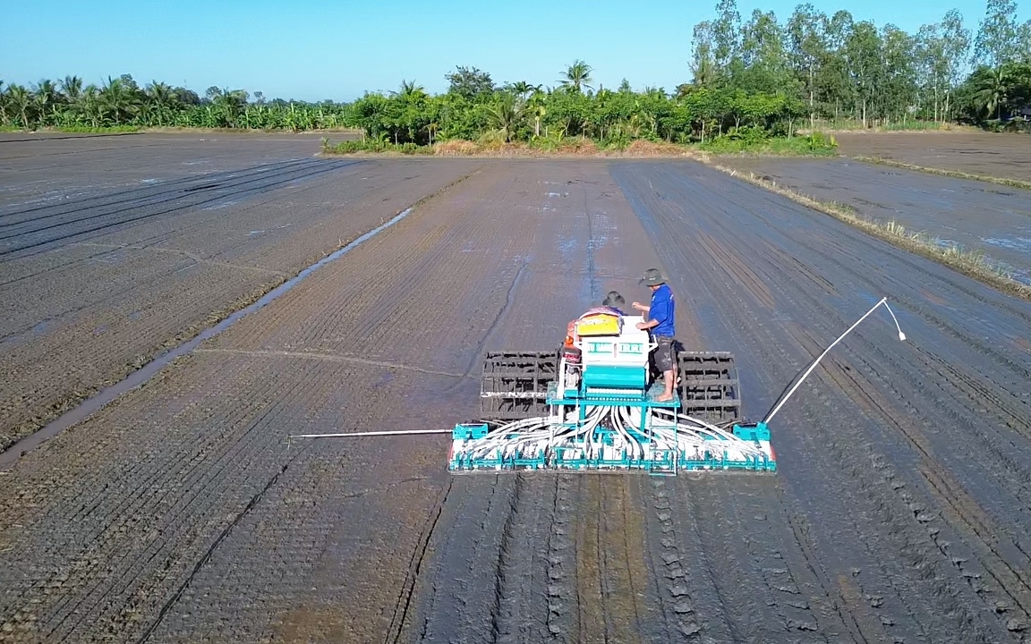 Quản lý dinh dưỡng chính xác: Giải pháp đột phá cho canh tác lúa tại ĐBSCL