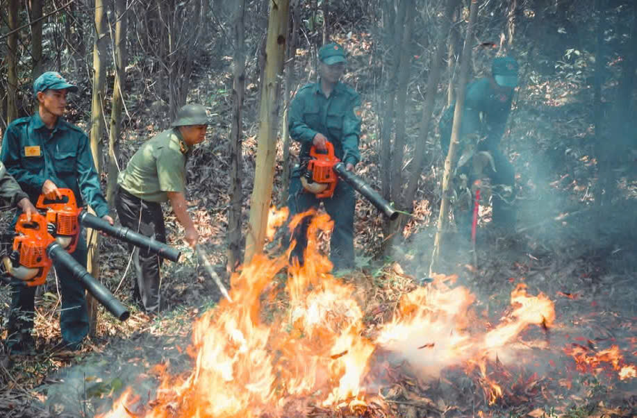 Nắng nóng gay gắt, miền Trung cấp bách phòng cháy, chữa cháy rừng- Ảnh 3.