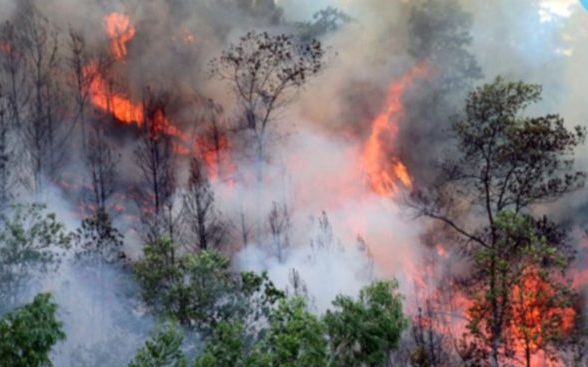 Nắng nóng kéo dài, tăng cường ứng phó nguy cơ cháy rừng