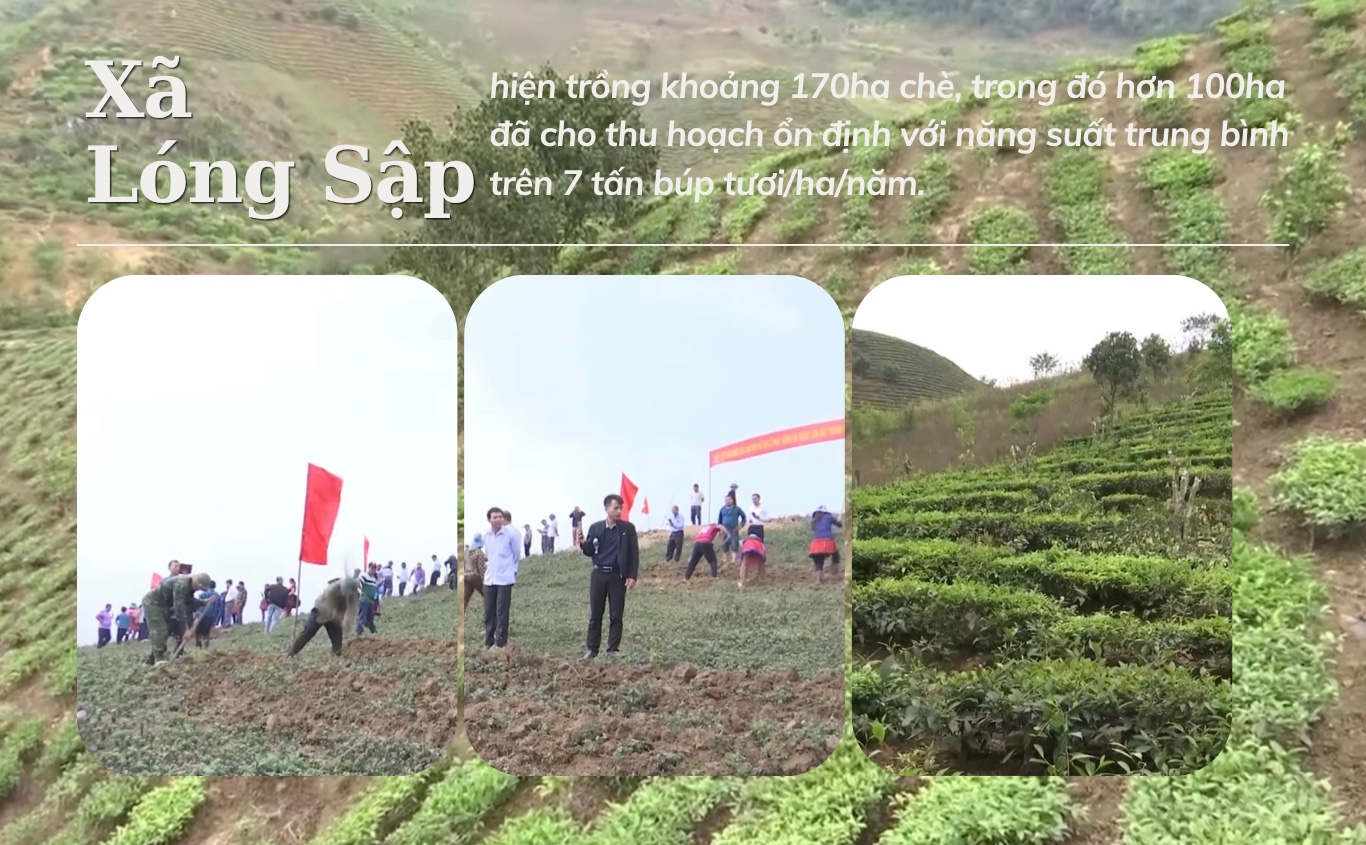 Tạo sinh kế từ lợi thế bản địa- Ảnh 6.