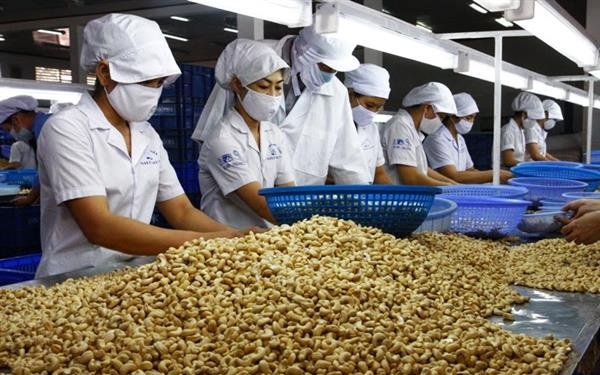 Ngành điều Việt Nam: Từ 'công xưởng chế biến' tới bài toán thương hiệu