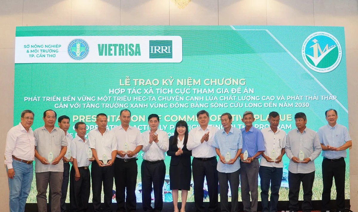Gắn 'hộ chiếu xanh' cho thương hiệu gạo Việt phát thải thấp- Ảnh 1.