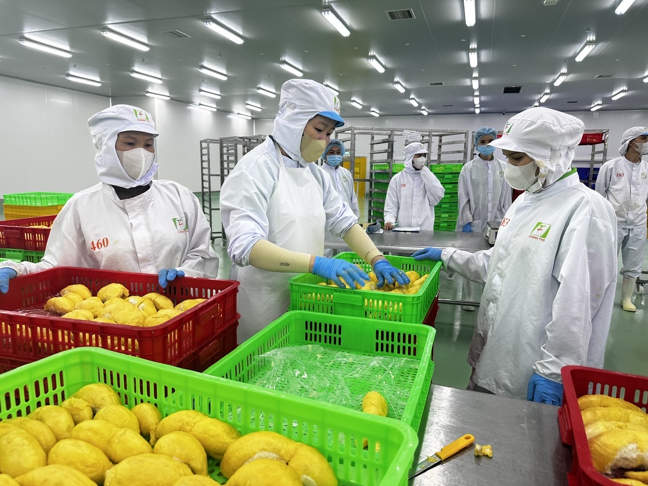 Khoa học, công nghệ là 'chìa khóa' chuyển đổi mô hình tăng trưởng nông nghiệp- Ảnh 2.