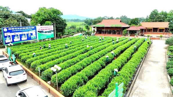 Thái Nguyên phát triển du lịch cộng đồng để phát huy giá trị văn hóa bản địa- Ảnh 2. Thái Nguyên phát triển du lịch cộng đồng để phát huy giá trị văn hóa bản địa- Ảnh 2.