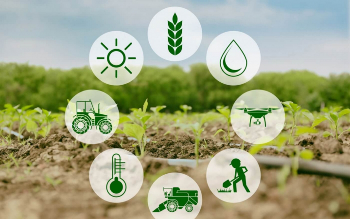 Cắt giảm, đơn giản hóa điều kiện kinh doanh của 11 lĩnh vực nông nghiệp và môi trường