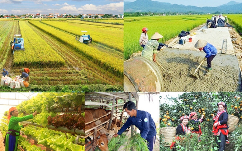 Chỉ đạo, điều hành của Chính phủ, Thủ tướng Chính phủ ngày 22/5/2026