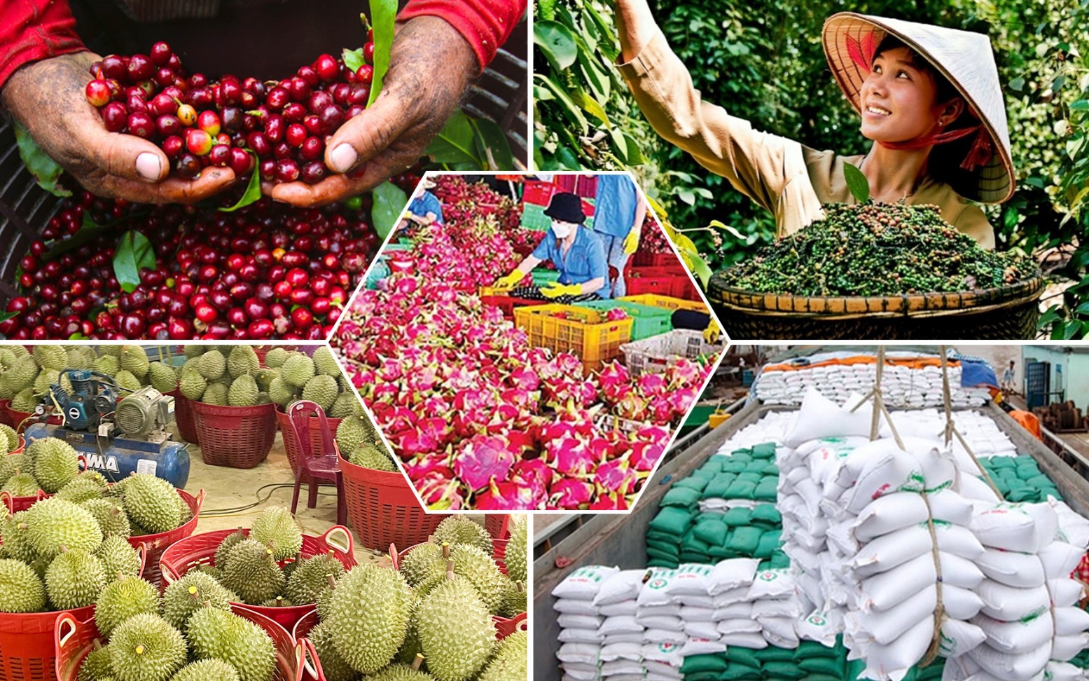 Tiêu chí đánh giá, phân hạng sản phẩm OCOP