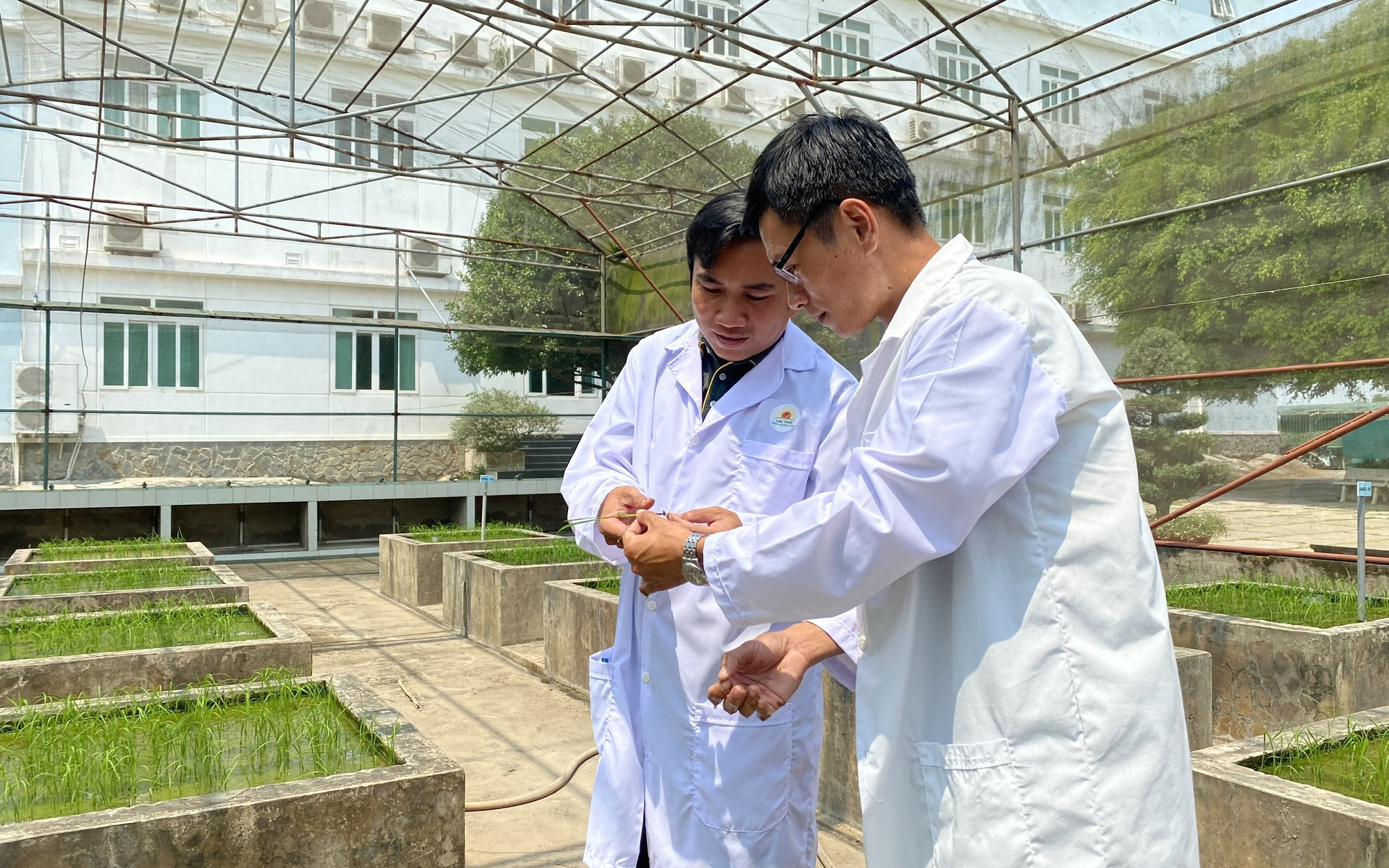 KHCN trong nông nghiệp: Chuyển từ tư duy 'làm đề tài' sang 'tạo sản phẩm'