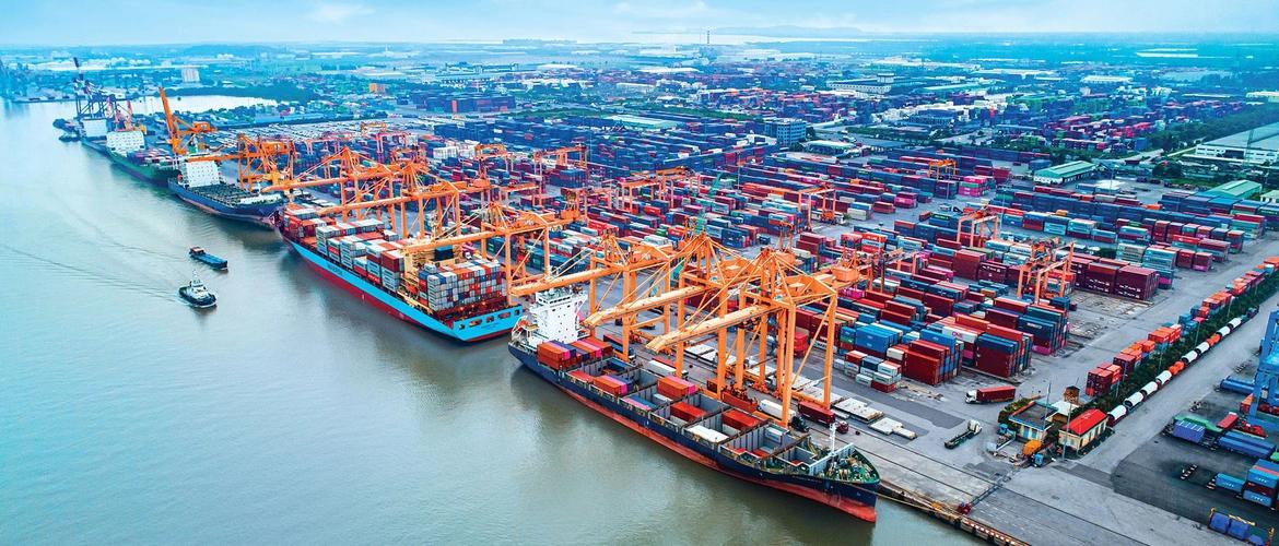 Giảm thủ tục hành chính, hàng hóa qua cảng biển tăng mạnh- Ảnh 1.